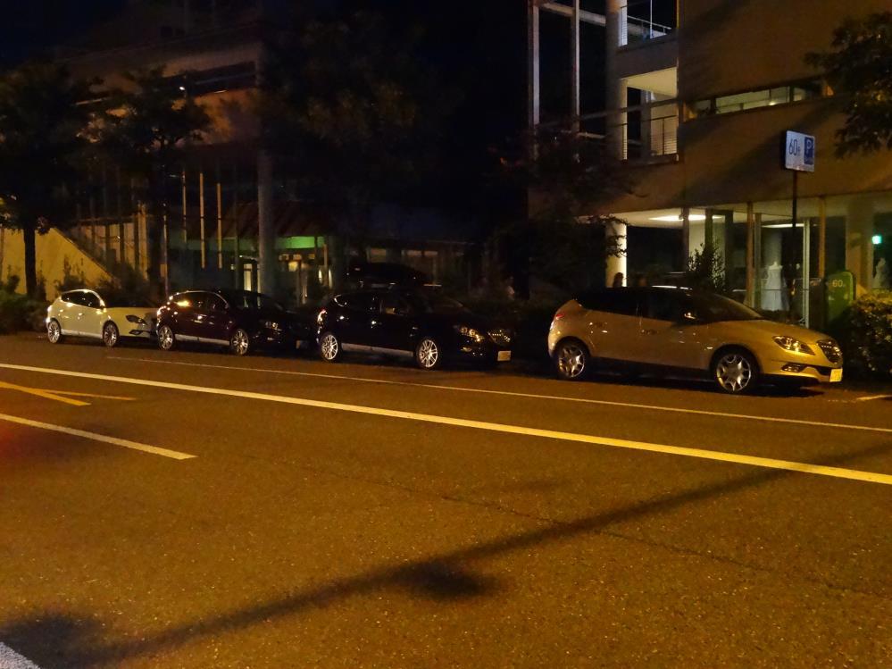 DSC00962 - コピー.JPG